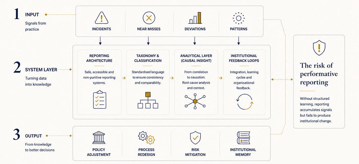 Learning Systems in Public Innovation